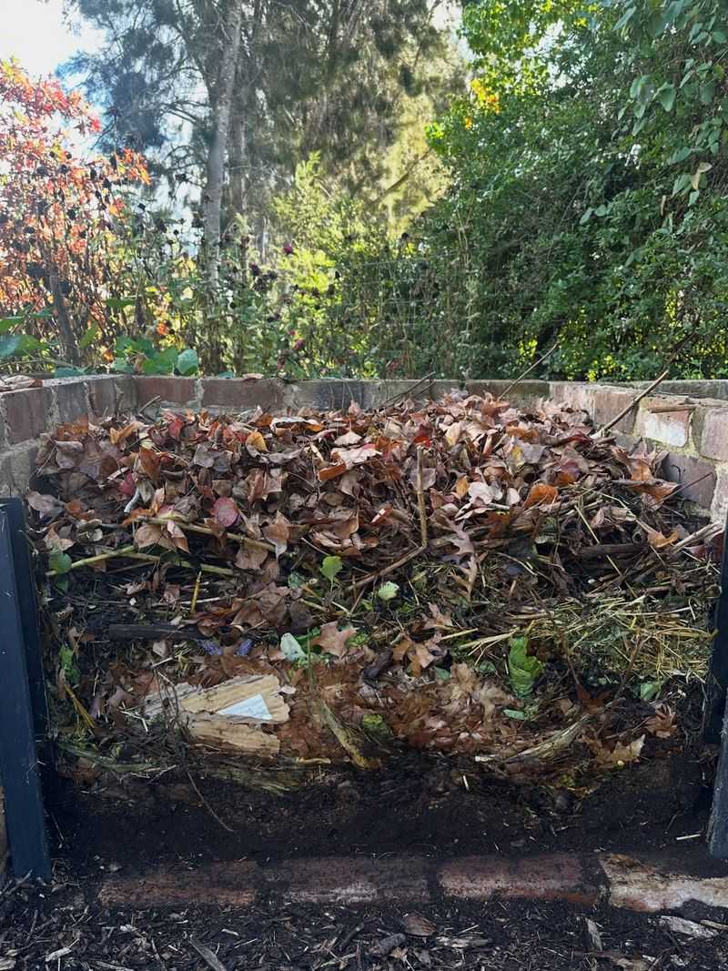 Healthy Plant Material Can Become Useful Compost