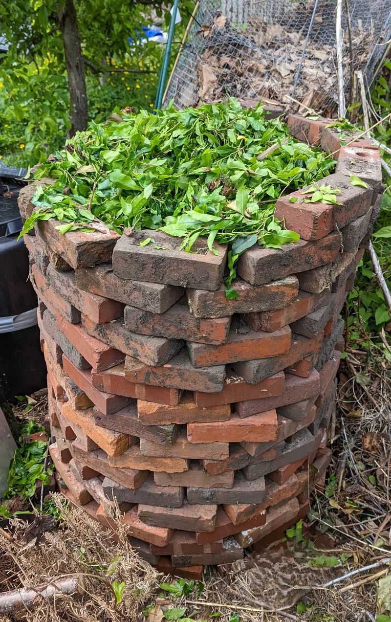 Healthy Plants Can Go In The Compost