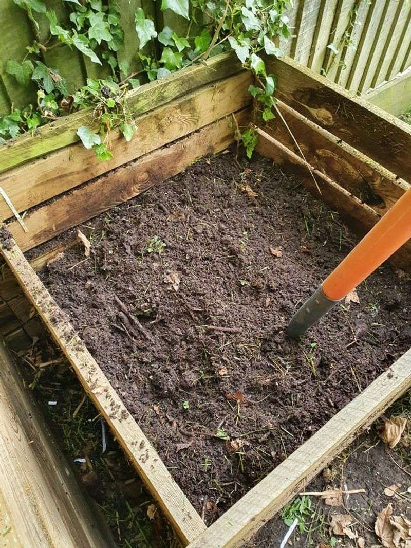 Healthy Plants Can Still Go In The Compost Healthy Plants Can Still Go In The Compost