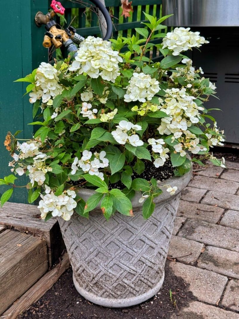 Heavy Pots Are Easier To Keep Stable