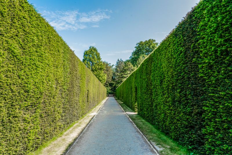 Hedges All Look The Same
