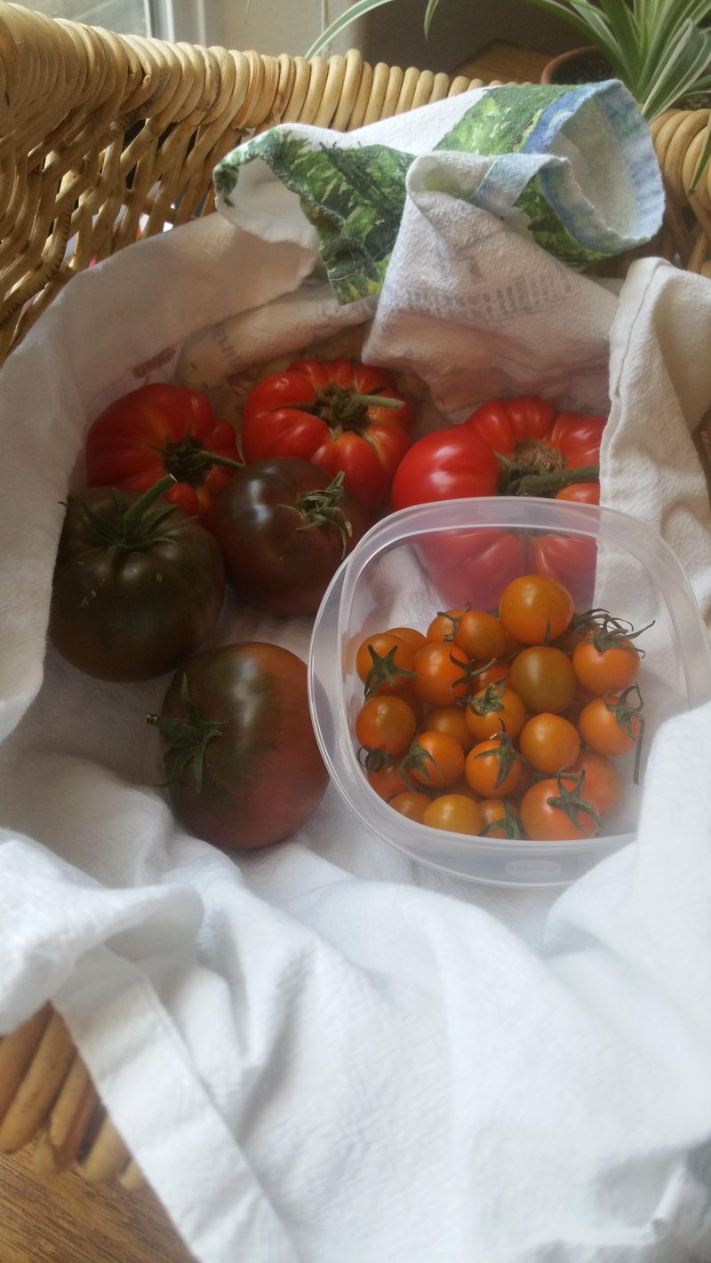 Heirloom Plants Preserve Old Virginia Flavors