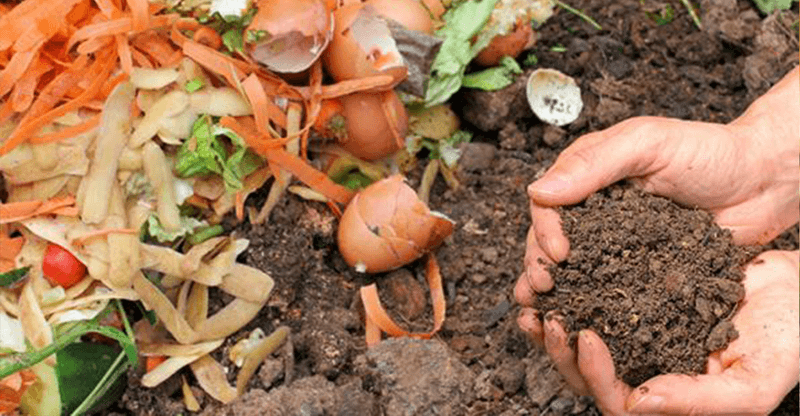 Herbicide Residues Can Survive In Manure Herbicide Residues Can Survive In Manure