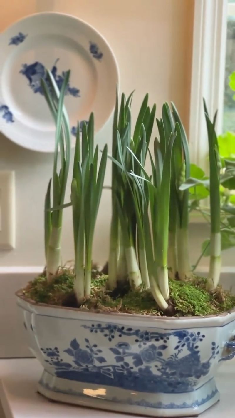 Hiding The Pot In A Dim Corner