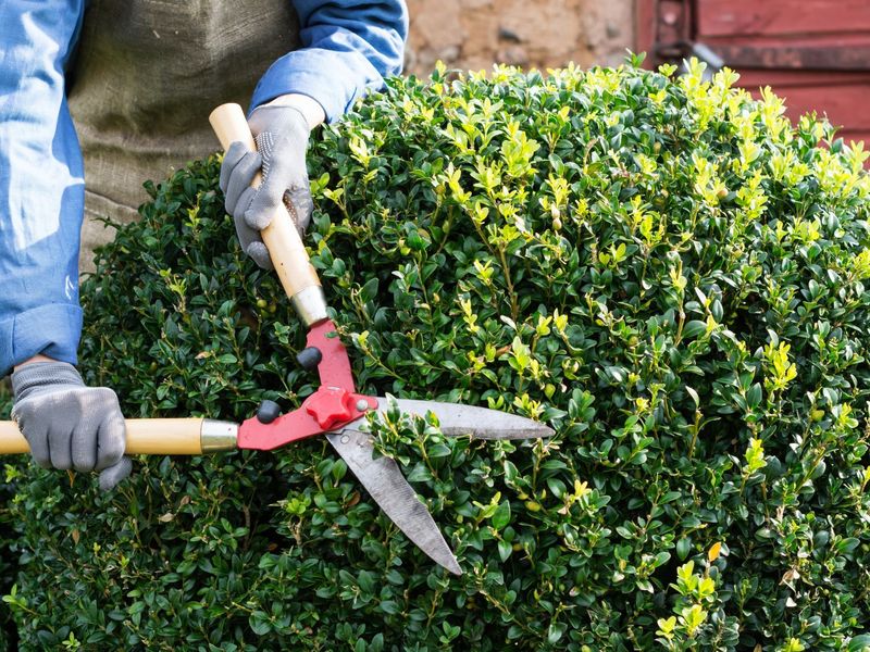 Hold Off On Heavy Pruning