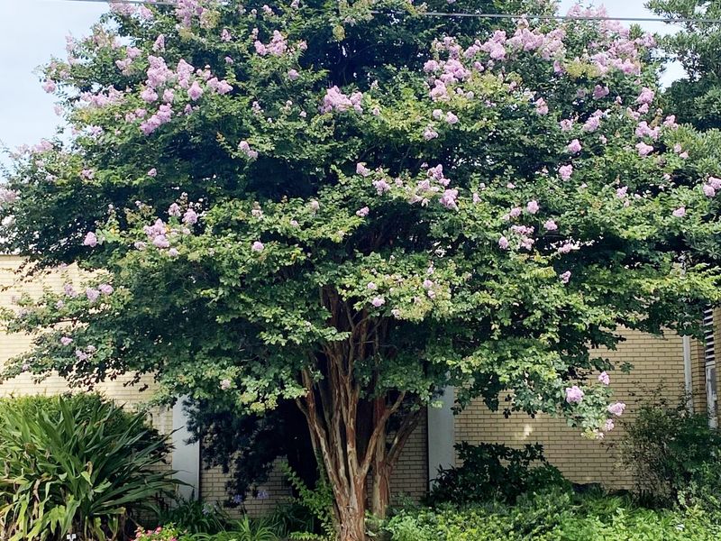 Hold Off On Heavy Pruning Hold Off On Heavy Pruning