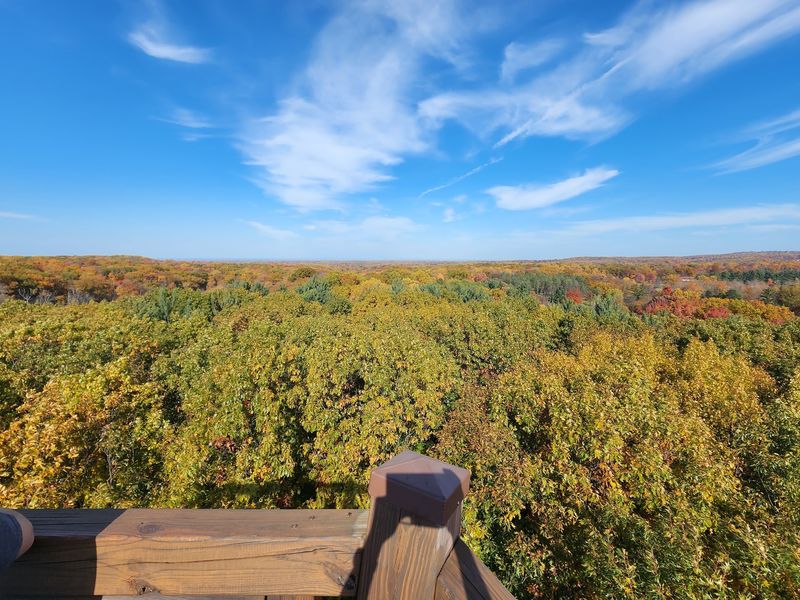 Holden Arboretum Brings Northeast Ohio’s Forests Into Full Color