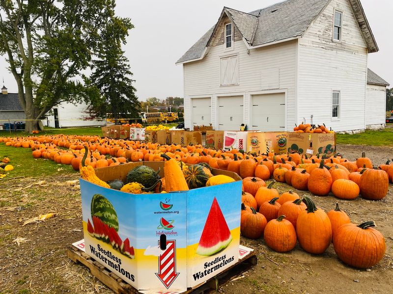 Hop On A Wagon Ride At Pickering Hill Farms In Avon Hop On A Wagon Ride At Pickering Hill Farms In Avon