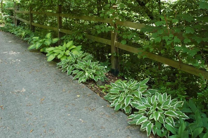 Hot Areas Near Reflective Surfaces