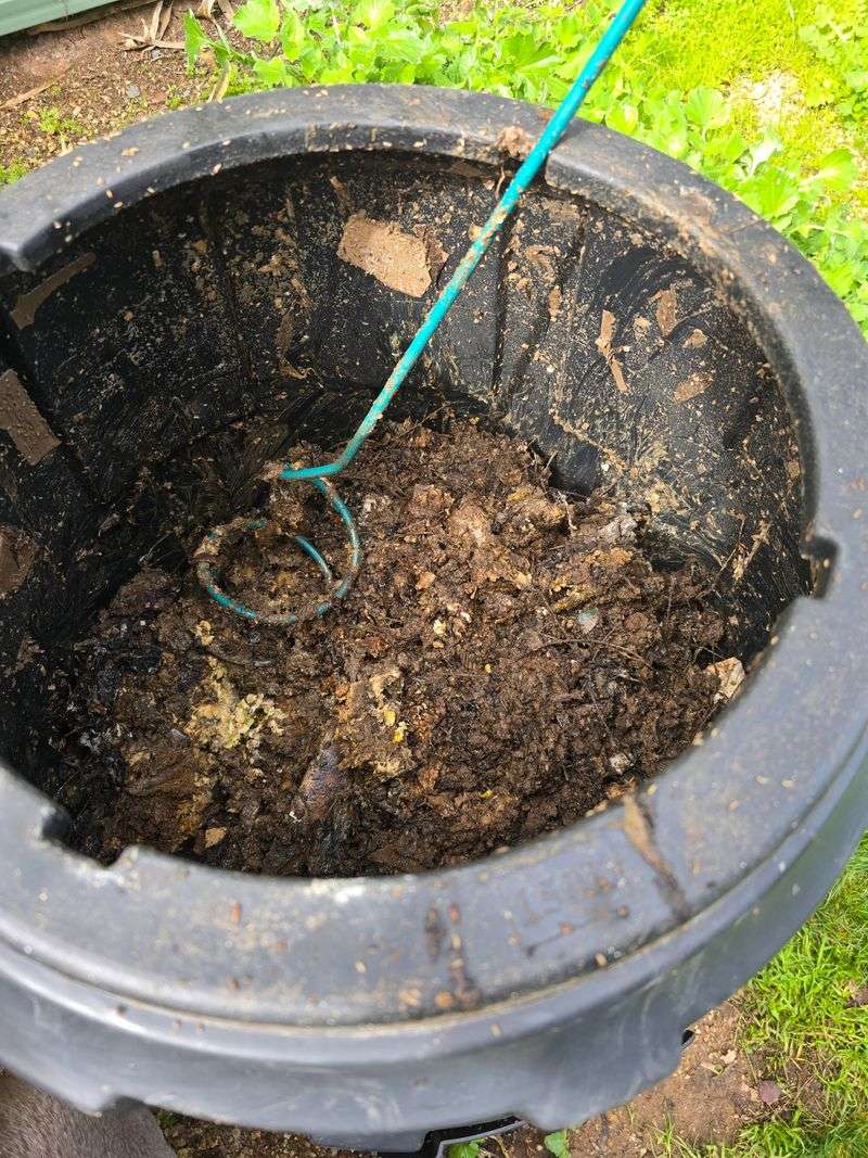 Hot Fresh Compost Can Stress Young Roots Hot Fresh Compost Can Stress Young Roots