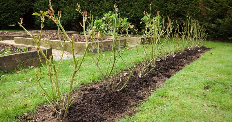 How Many Inches Of Soil Actually Do The Job