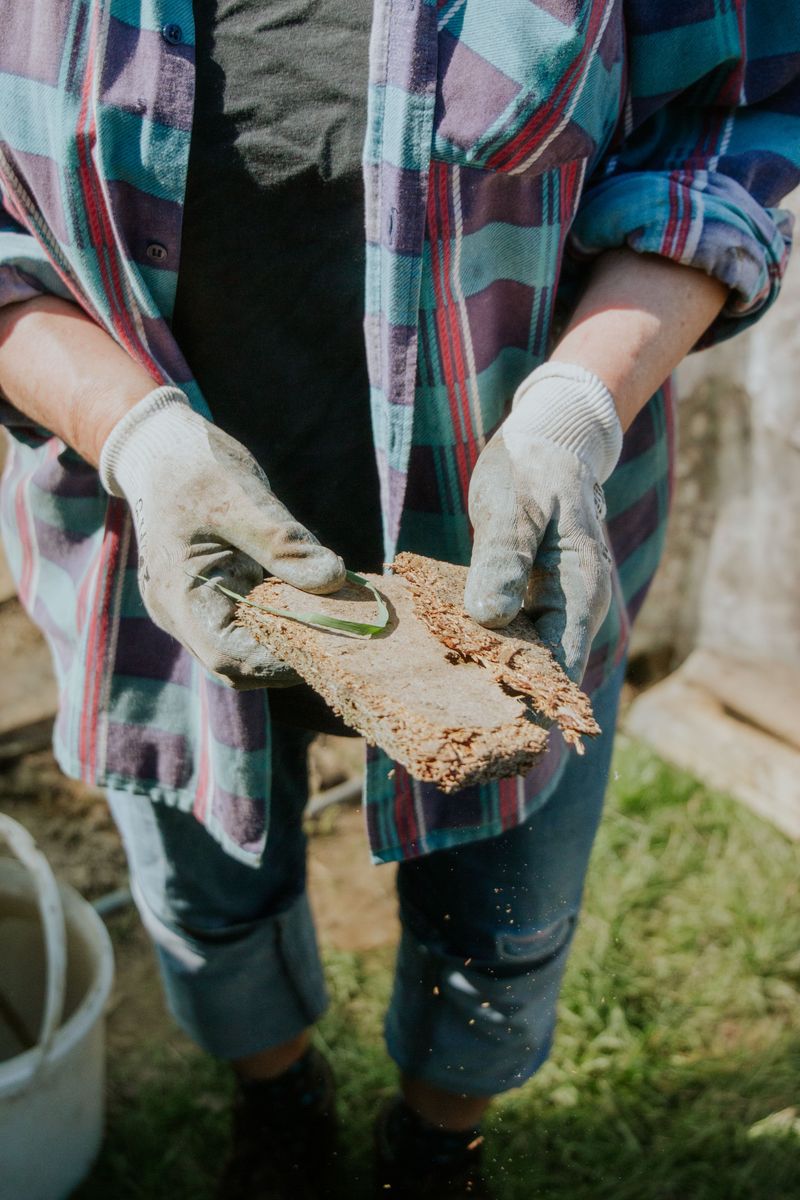 How These Worms Affect Earthworm Populations
