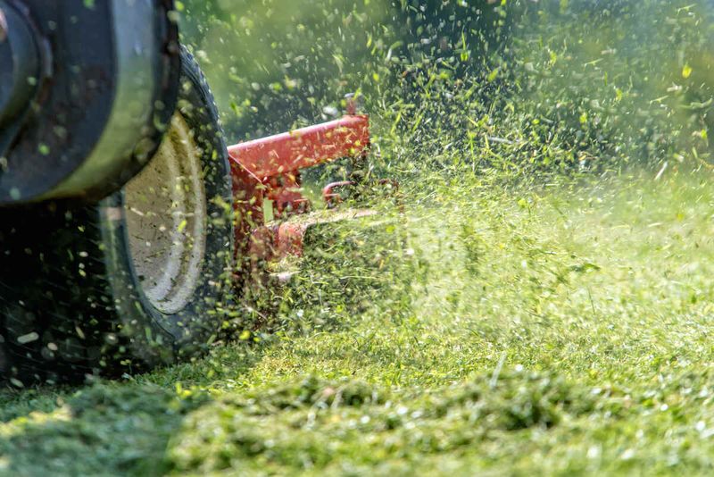 How To Leave Fall Clippings Without Lawn Problems