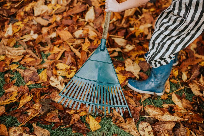 How To Reduce Tick Encounters Around Your Home