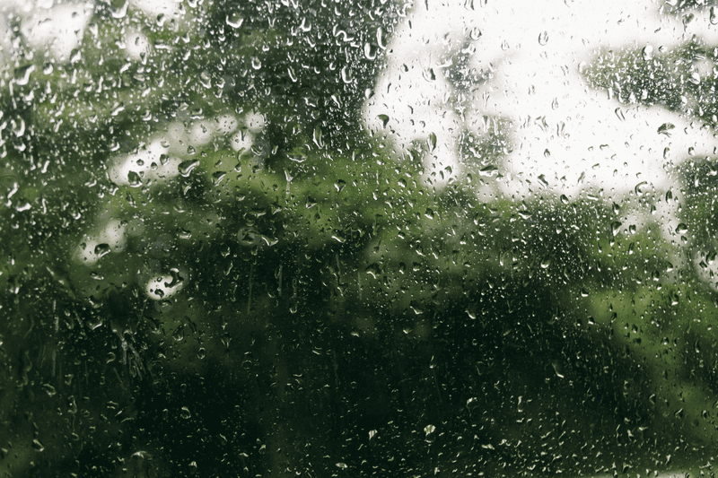 Humidity That Refuses To Take A Day Off