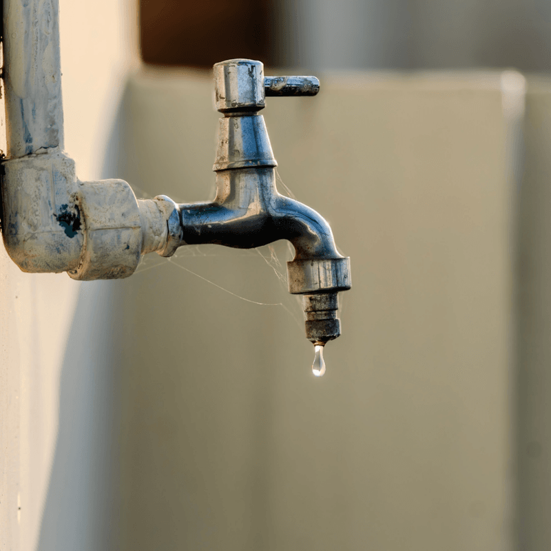 Ignoring Leaky Hoses And Standing Water Ignoring Leaky Hoses And Standing Water
