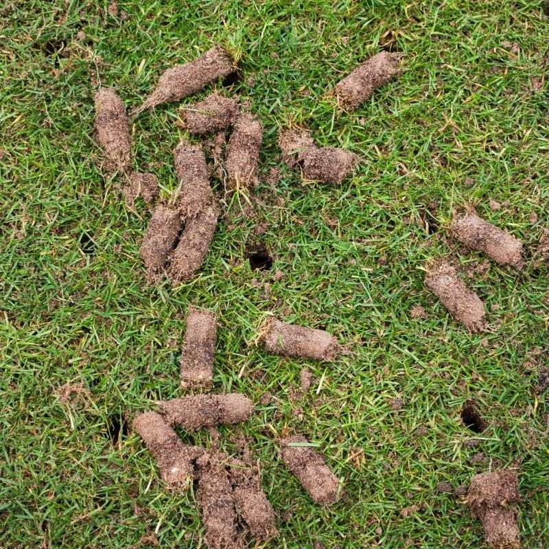 Ignoring Soil That Is Packed Down Hard Ignoring Soil That Is Packed Down Hard