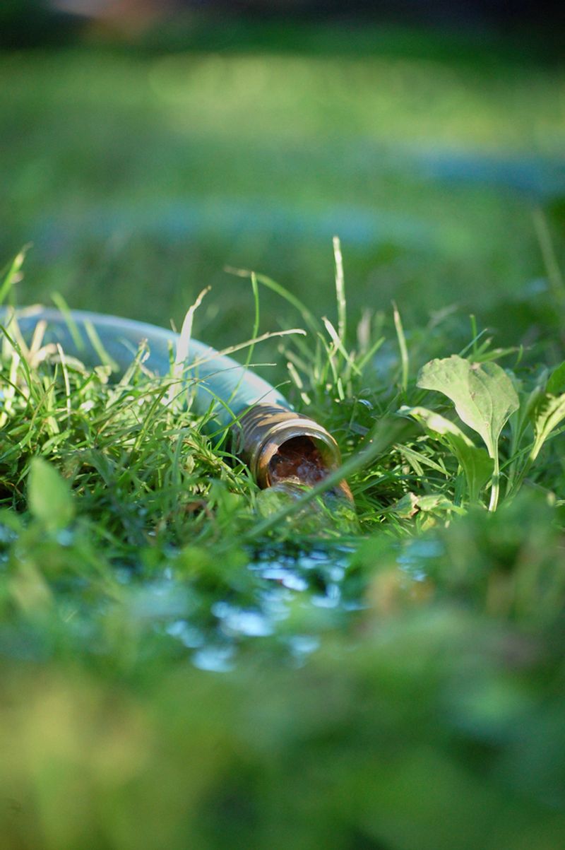 Implement Deep and Thoughtful Arizona Watering