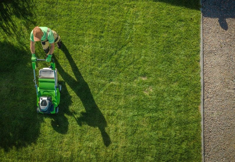 Improve Airflow Where Grass Stays Damp