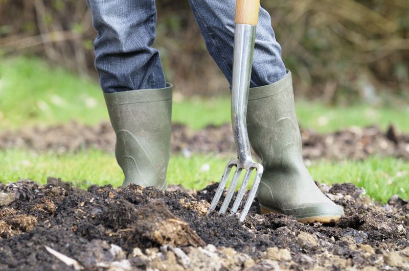 Improve Soil Around Daisy Roots Improve Soil Around Daisy Roots