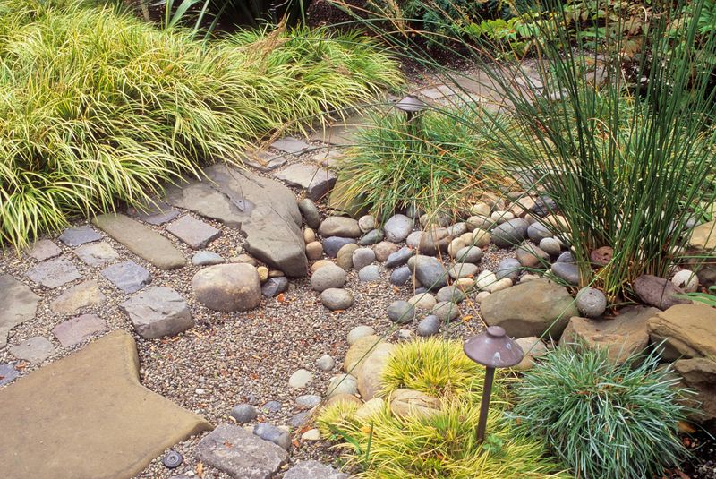 In Wet, Poorly Drained Soil