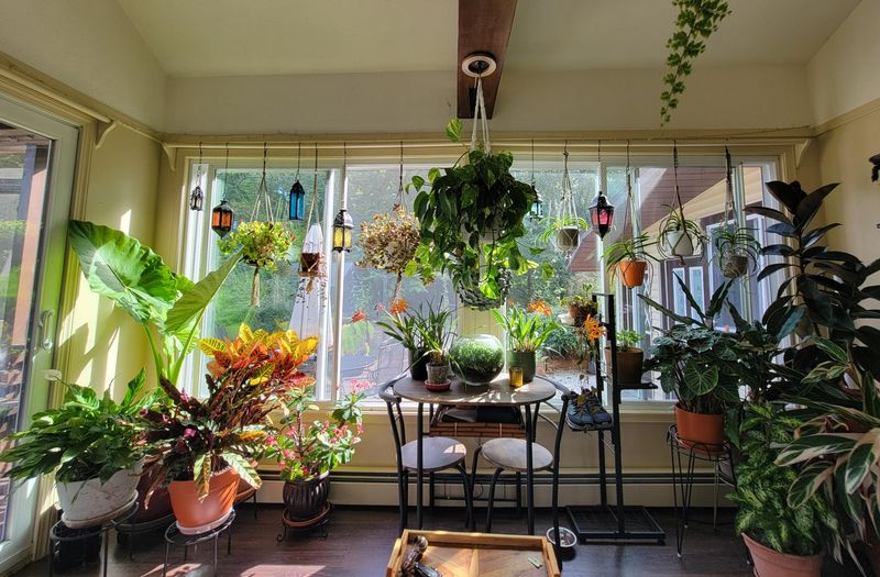 Indoor Light Is Far Weaker Than Outdoor Light Indoor Light Is Far Weaker Than Outdoor Light