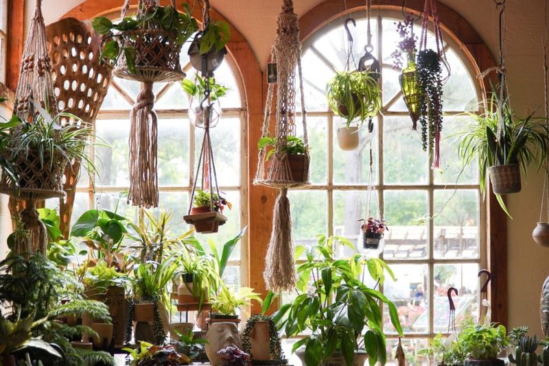 Indoor Light Will Be Much Different From Summer Outdoor Light