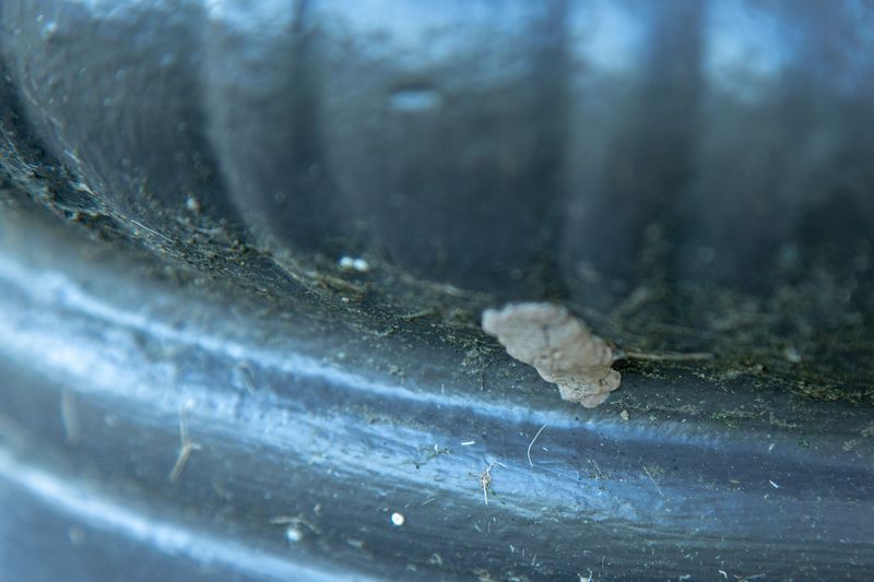 Inside The Wheel Wells Of Cars And Trailers