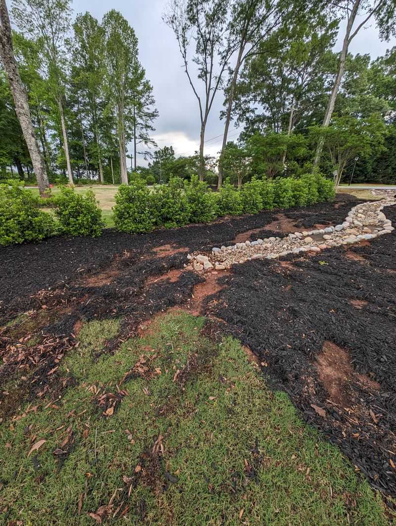 Inspect Mulch After Storm Washouts