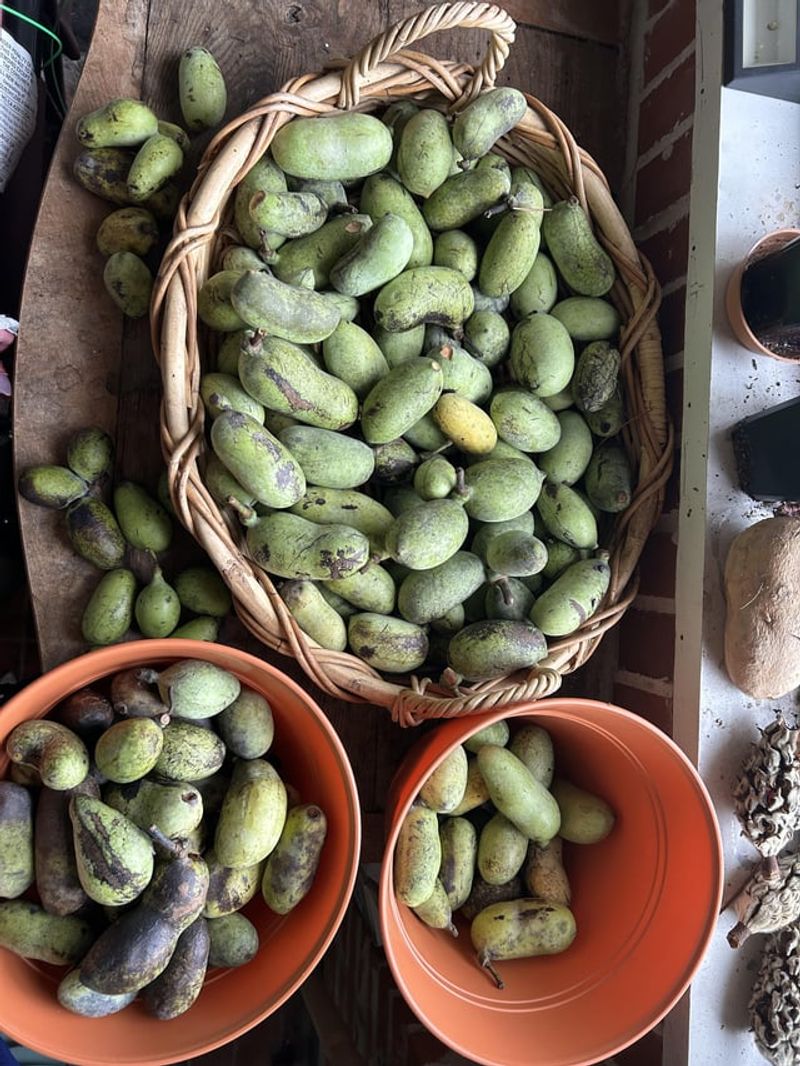 Inspect Stored Fruit Frequently