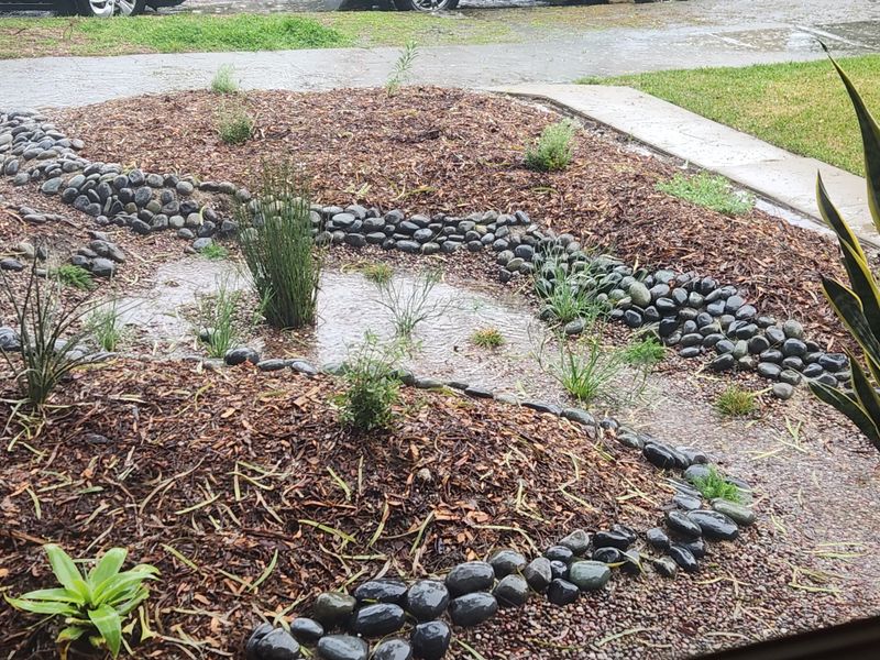 Inspect Water Flow After Heavy Rain Inspect Water Flow After Heavy Rain