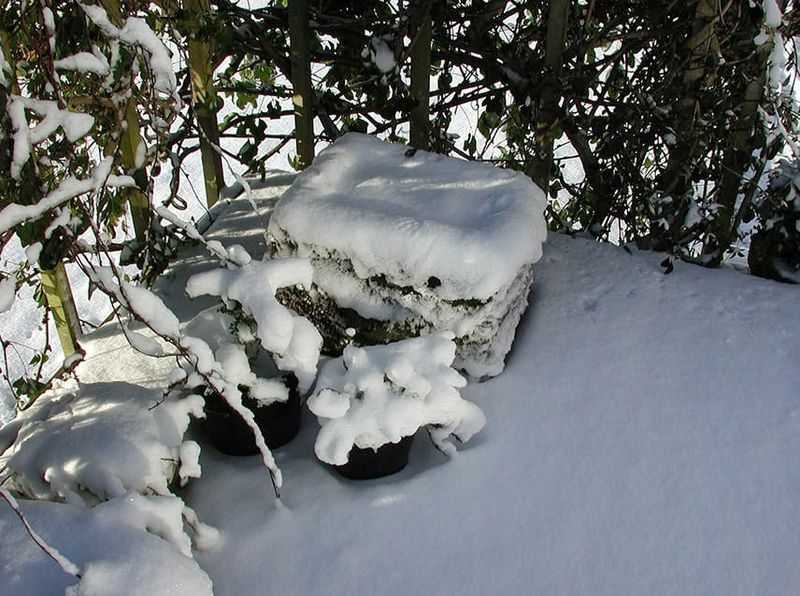 Inspect Wisconsin guards through winter and remove them in spring