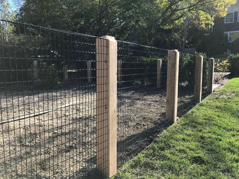 Installing Tall Woven-Wire Fencing Around Autumn Garden Beds