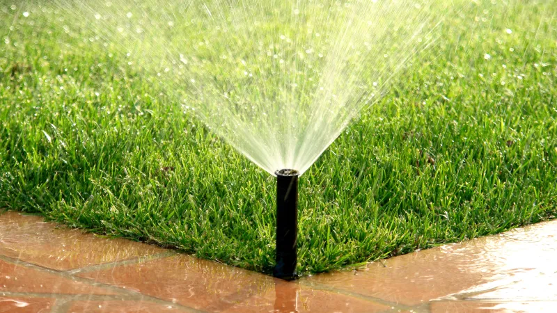 Irrigation Keeps Snake-Friendly Cover Moist Longer Irrigation Keeps Snake-Friendly Cover Moist Longer