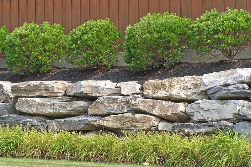 It Handles Both Wet And Dry Soil