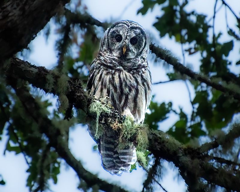It Is A Wildlife Encounter Worth Respecting It Is A Wildlife Encounter Worth Respecting