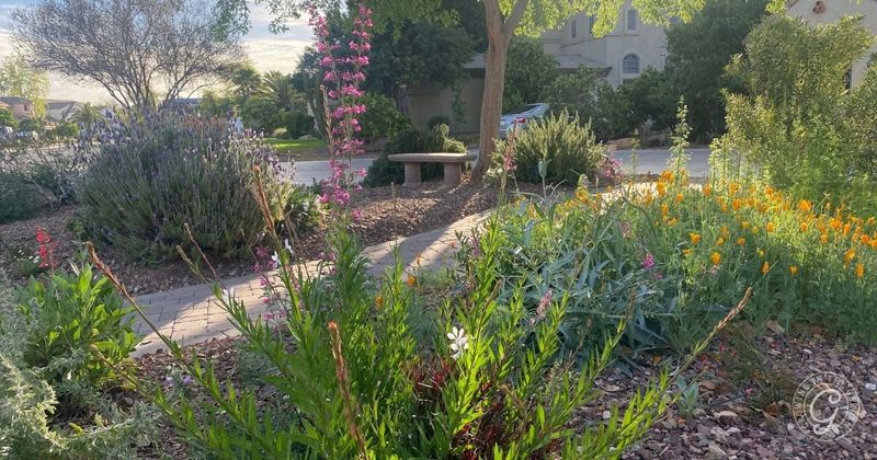 Its flowers can help pollinators, but rosemary is not scorpion control Its flowers can help pollinators, but rosemary is not scorpion control