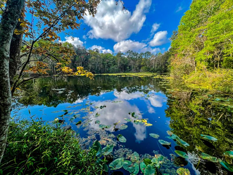 Jacksonville Arboretum Brings Autumn Foliage To The Trails