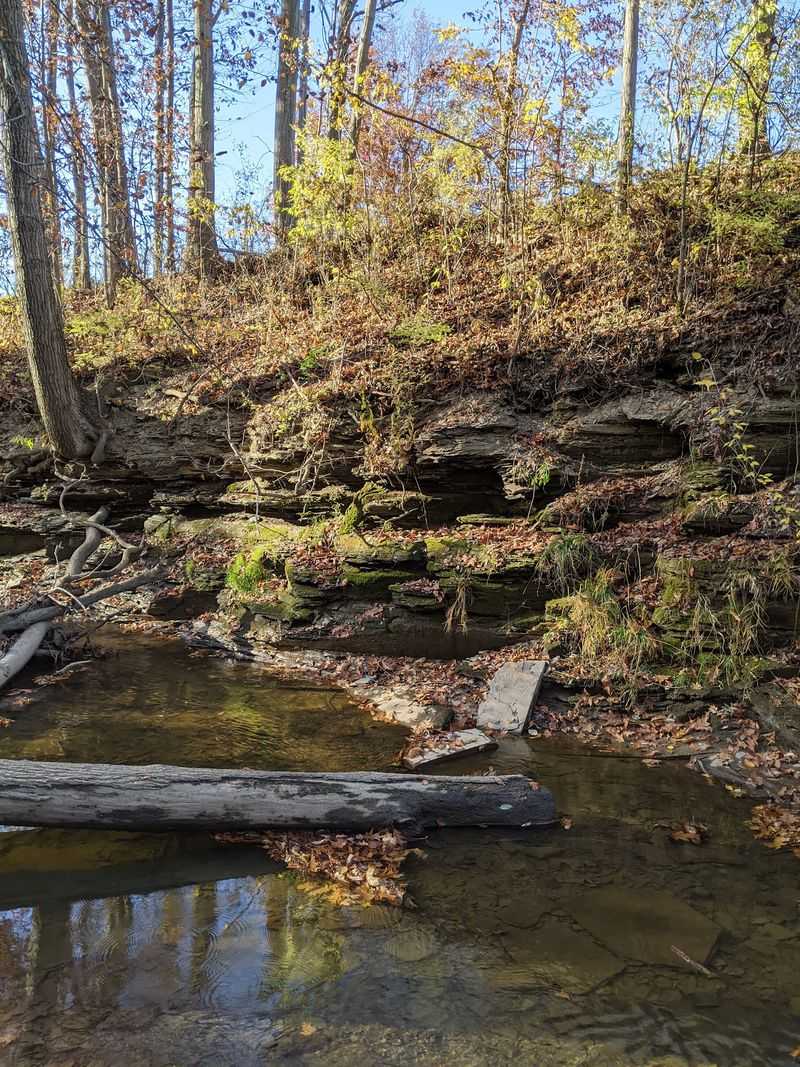 James H. McBride Arboretum Showcases Northern Ohio Foliage