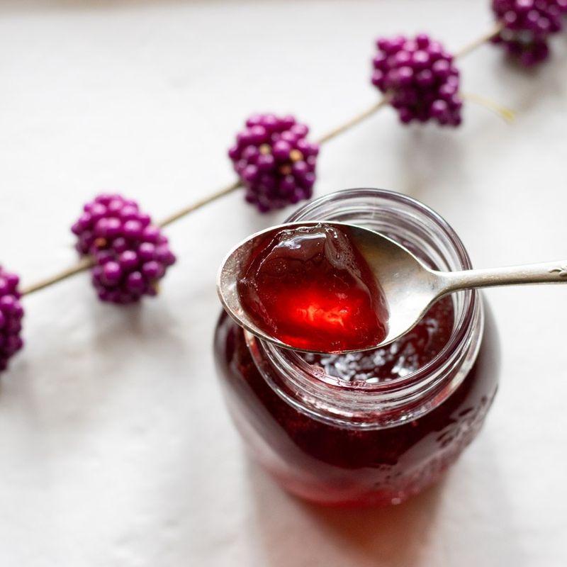 Jelly, Folklore, And The Bug-Repelling Story Jelly, Folklore, And The Bug-Repelling Story