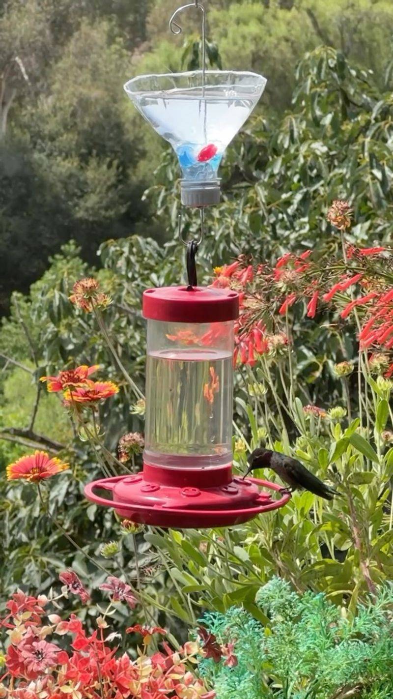 Keep Ants Out Of The Nectar