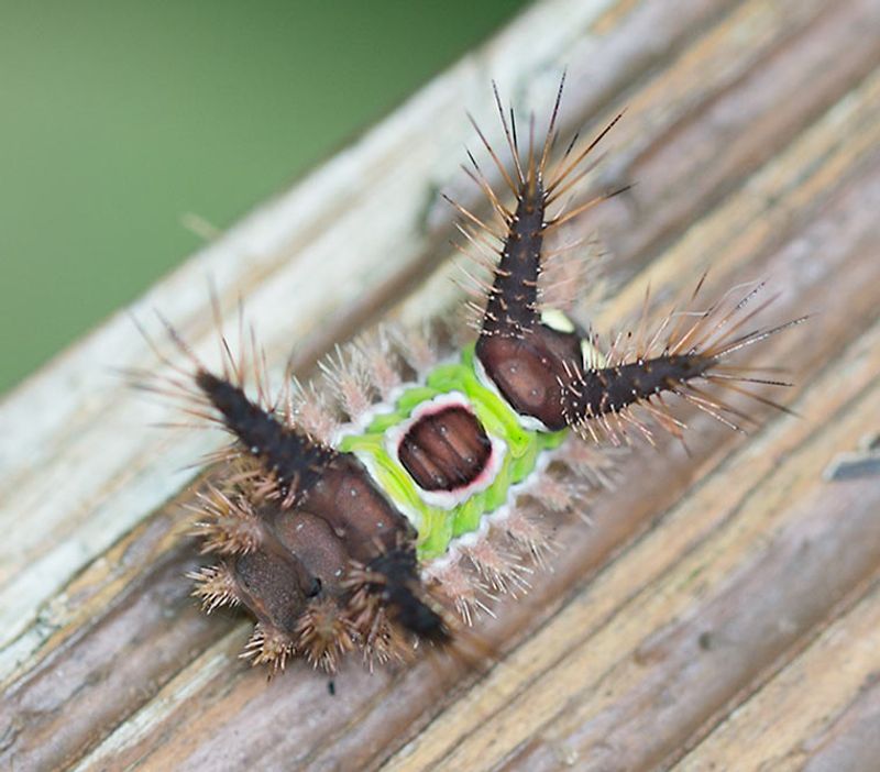 Keep Curious Kids Away From This Tiny Yard Hazard
