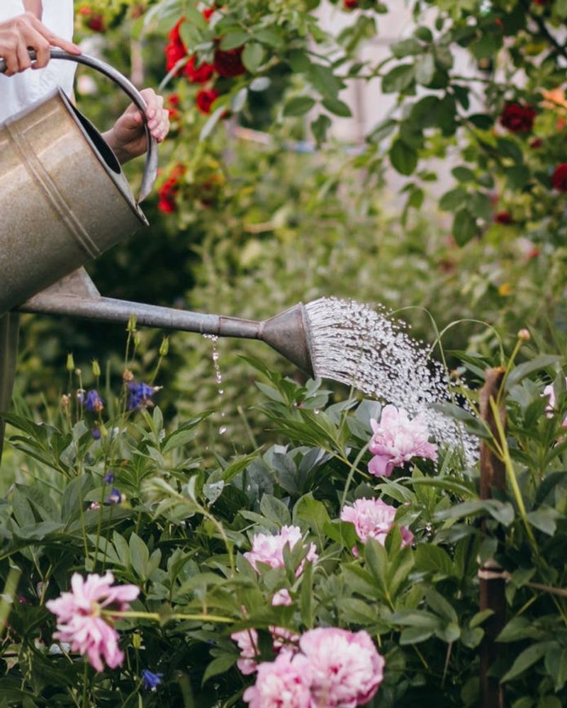 Keep Fall Watering Moderate Keep Fall Watering Moderate