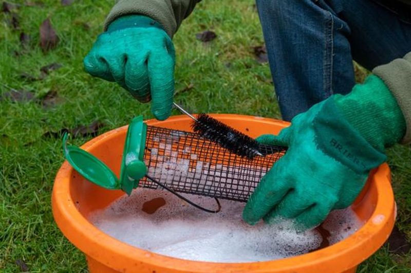 Keep Feeders Clean During Increased Activity Keep Feeders Clean During Increased Activity