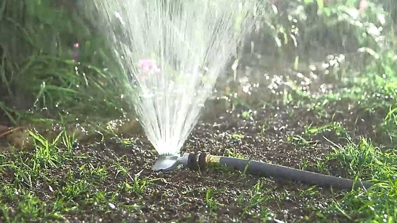 Keep Freshly Seeded Areas Consistently Moist