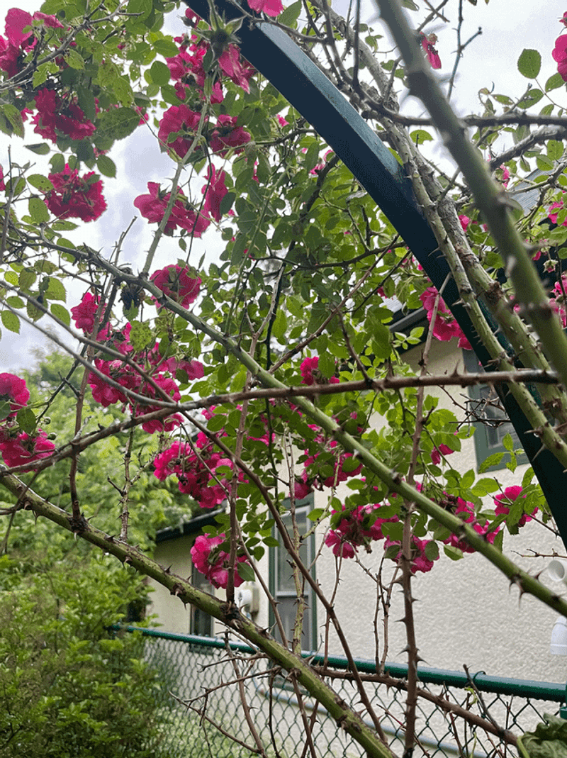 Keep Heavy Pruning For The Right Moment