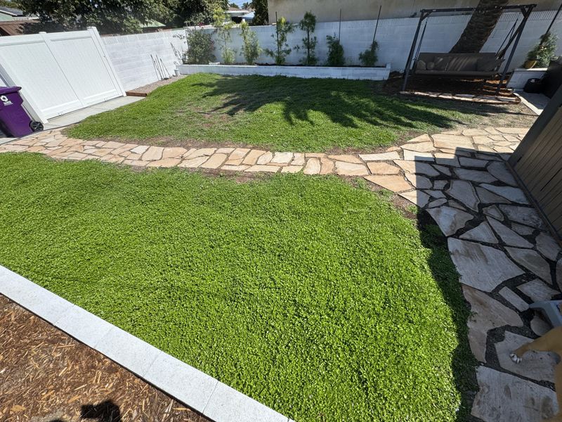 Keep It Mowed Without Sending It Out Of Control Keep It Mowed Without Sending It Out Of Control