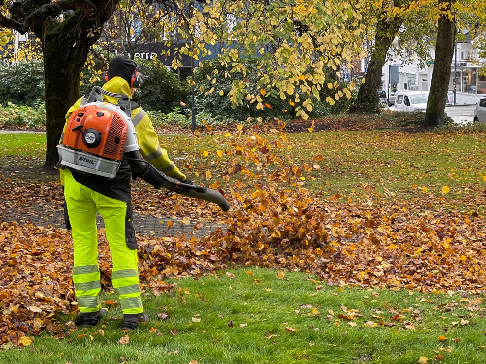 Keep Leaf Burns Under The Eight-Foot Limit Keep Leaf Burns Under The Eight-Foot Limit