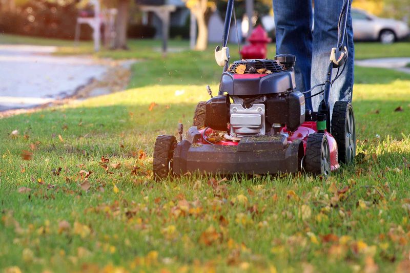 Keep Mowing While Grass Still Grows Keep Mowing While Grass Still Grows