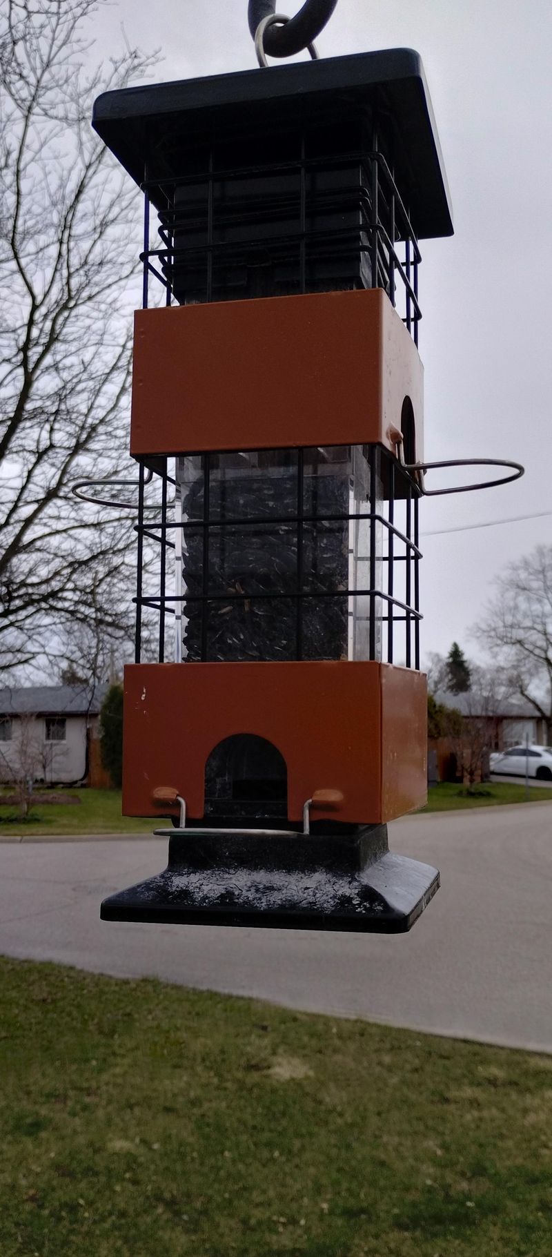 Keep One Feeder Filled With Black-Oil Sunflower Seed Keep One Feeder Filled With Black-Oil Sunflower Seed